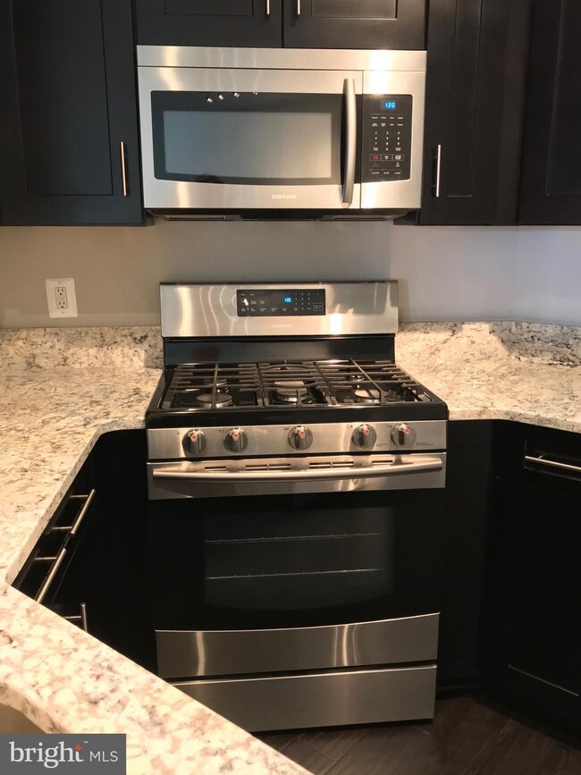 4408 Helmsford Ln unit 202, Fairfax, VA 22033 - photo 4