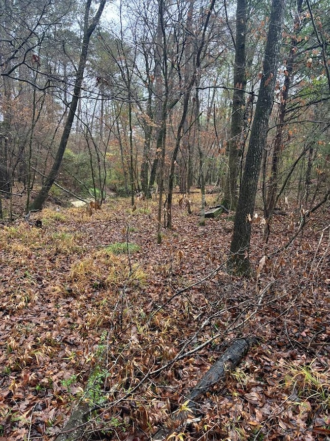 1206 Rock Bridge Dr, Columbus, GA 31904 - photo 6