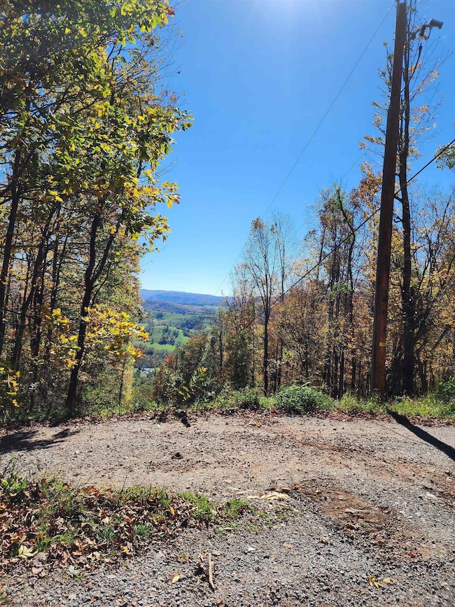 22 E Meadows Rd, Harman, WV 26270 - photo 4