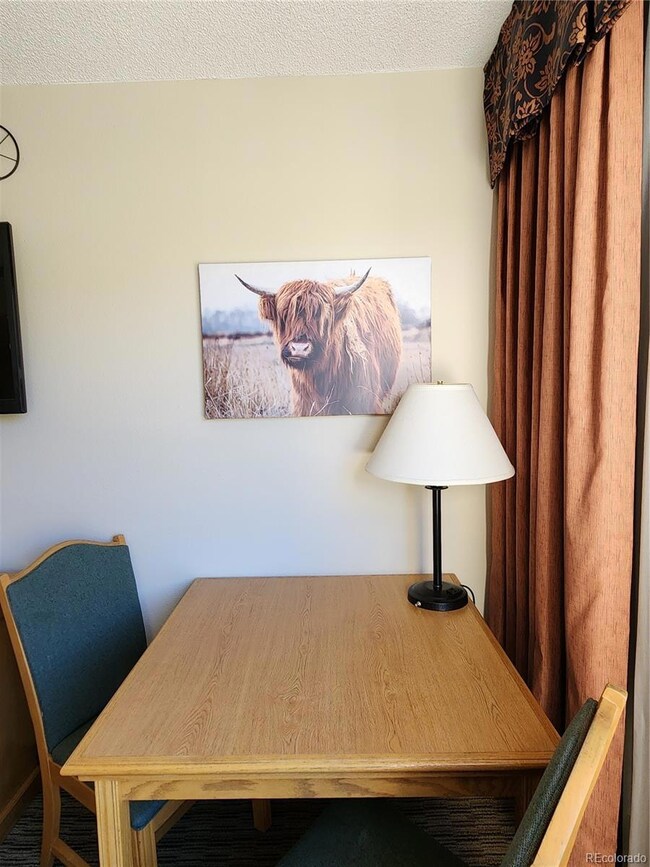 6 Emmons Rd unit 476, Crested Butte, CO 81225 - photo 5