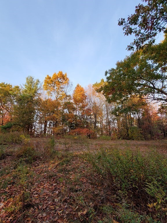 0 E County Rd unit 72845808, Rutland, MA 01543 - photo 6