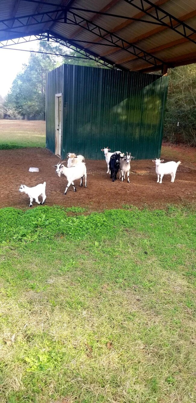 B5C80F3F-AF98-4DCA-9C80-1A68F6B3FC64