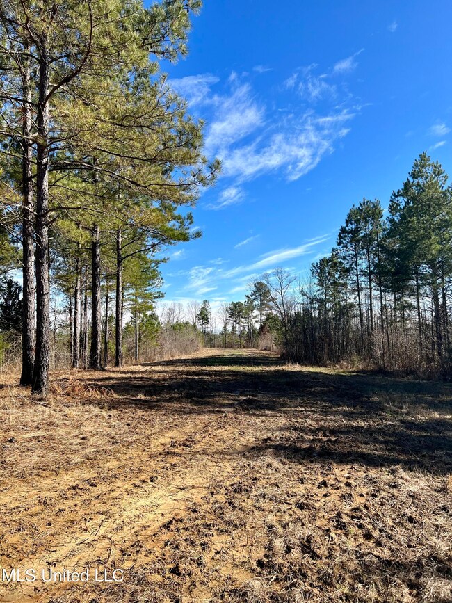 Photo Feb 09 2023, 3 01 08 PM