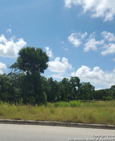 8234 San Fidel Way, Cross Mountain, TX 78255 - photo 4