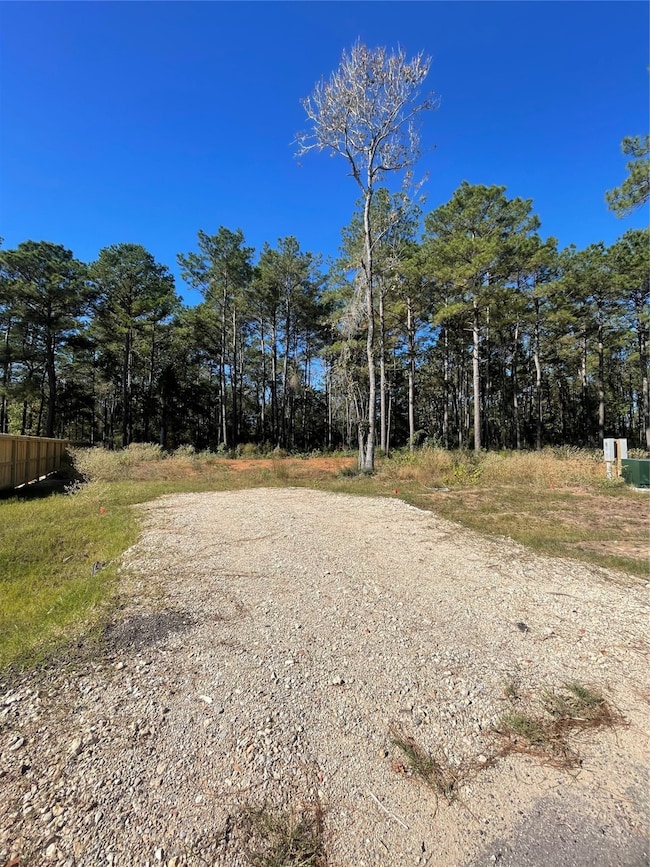11303 Annie Creek Dr, Willis, TX 77378 - photo 2