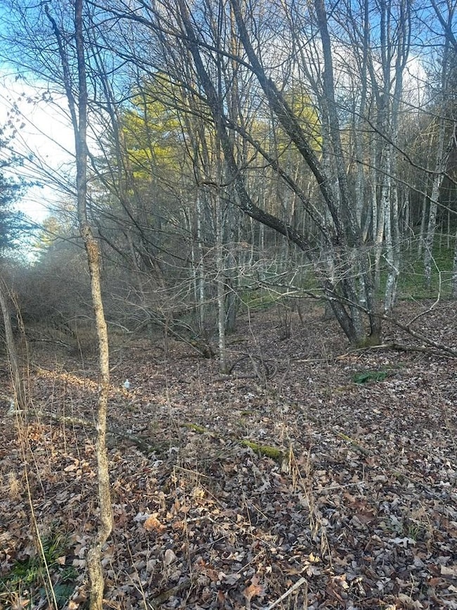 TBD Little Creek Hwy, Dublin, VA 24084 - photo 6