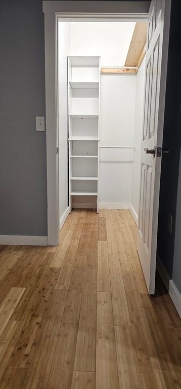 118 Winthrop St unit 2, Boston, MA 02119 - photo 7