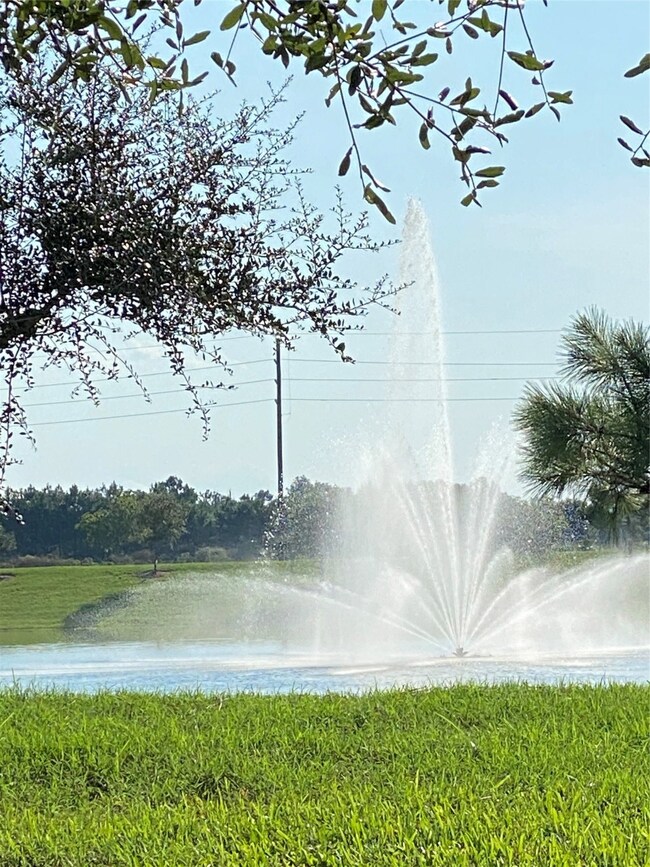 20403 Sir Penguin Dr, Hockley, TX 77447 - photo 3