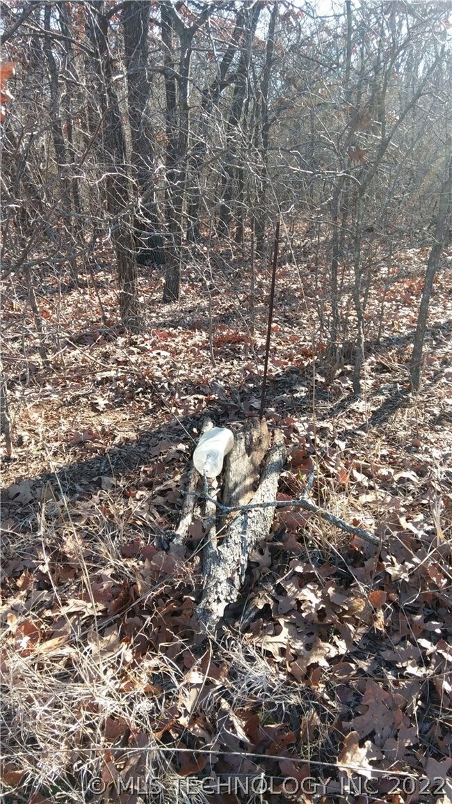 Survey Marker at the North West Corner of property