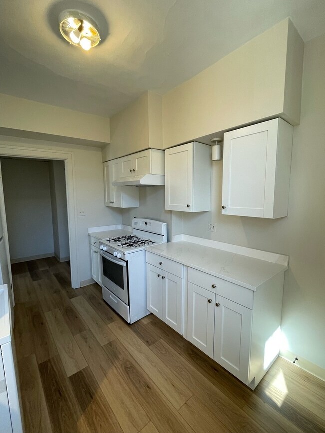 103 E 1st St unit 2S, Elmhurst, IL 60126 - photo 6