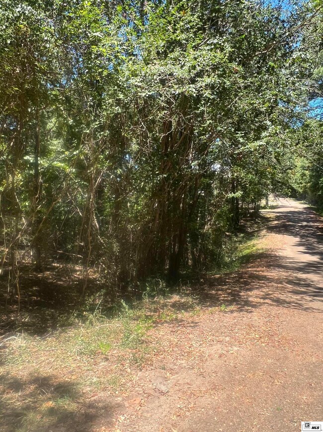 2.35 acres Penny Ln, Ruston, LA 71270 - photo 5