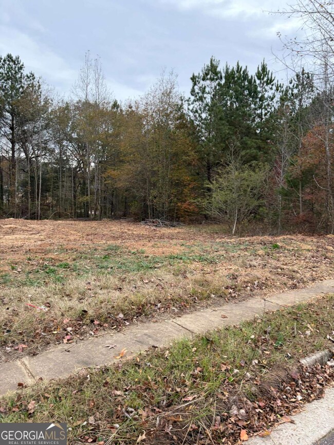 1105 Patriot Cir, McDonough, GA 30252 - photo 5