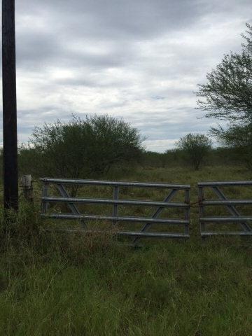 unlisted-address, Edinburg, TX 78539 - photo 5