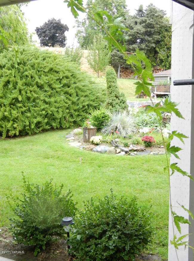 Front Yard