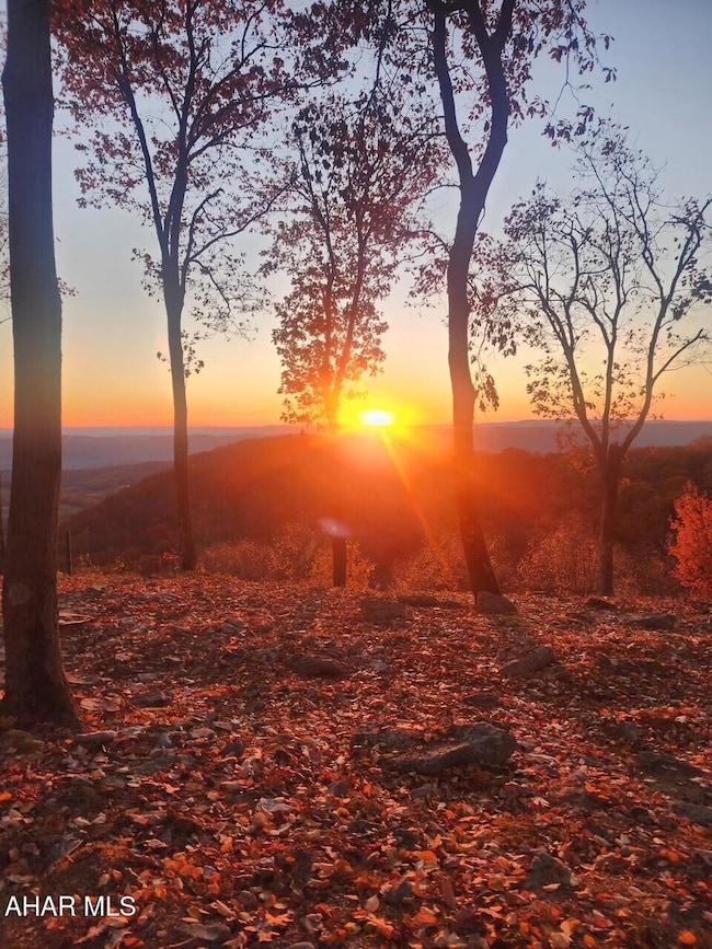 Lot 104 Overland Pass Rd, Claysburg, PA 16625 - photo 5