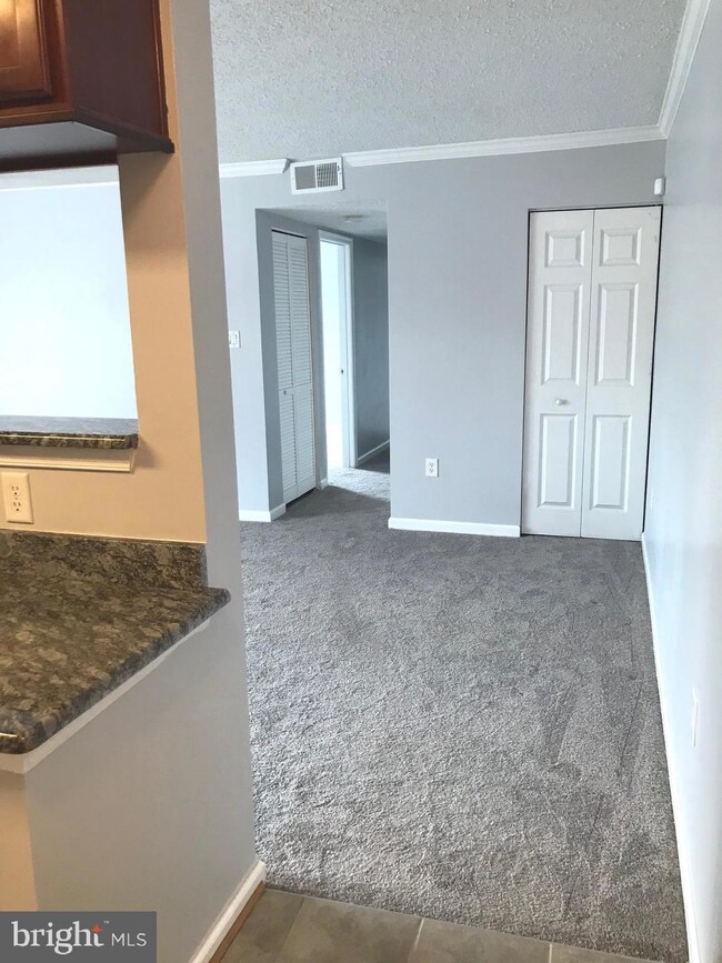 15512 Horseshoe Ln unit 512, Woodbridge, VA 22191 - photo 3