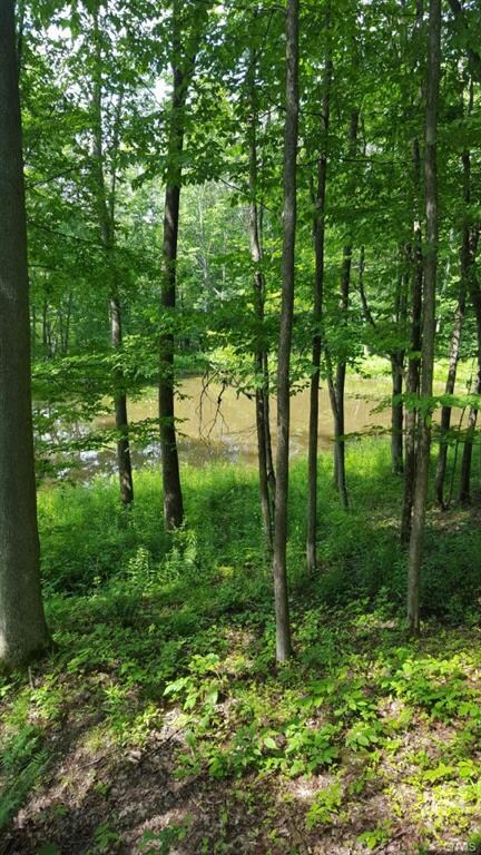 00 Baldwin Rd, Schenectady, NY 12302 - photo 4