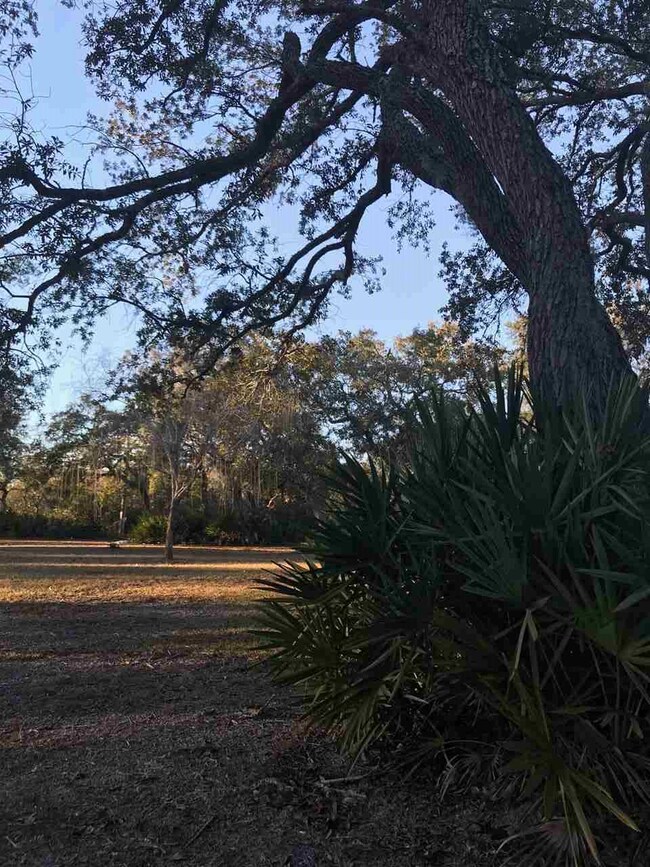 16872 W Royal Oak Dr, Perry, FL 32348 - photo 5