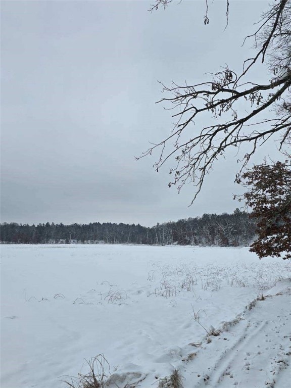 9019 W Wood Duck Ln, Minong, WI 54859 - photo 3