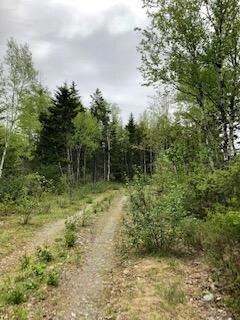 0 Route 189 unit 1441175, Whiting, ME 04652 - photo 3