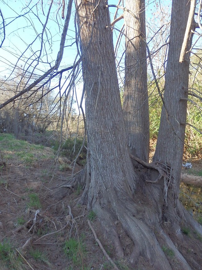 41 Basse Ln unit 1, Fredericksburg, TX 78624 - photo 6