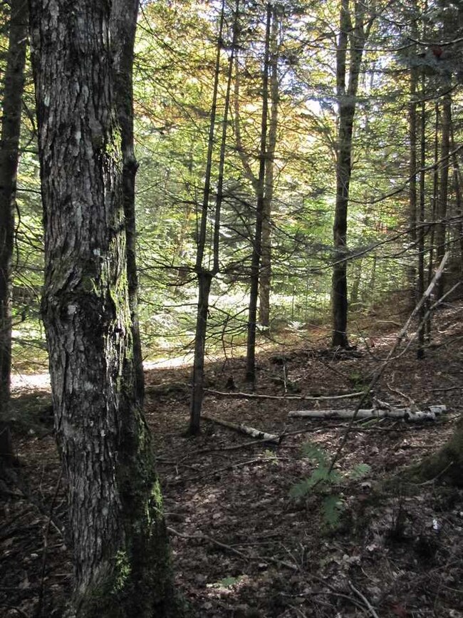 000 Skinny Ridge Rd unit Lot  7, Lyman, NH 03585 - photo 4