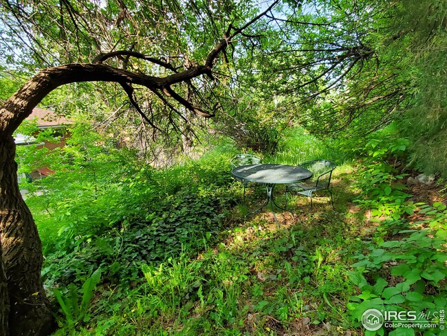 4500 Squires Cir, Boulder, CO 80305 - photo 2