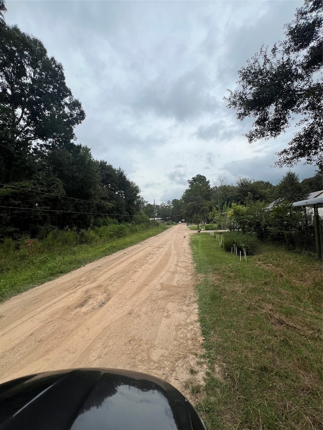 25688 York, New Caney, TX 77357 - photo 2
