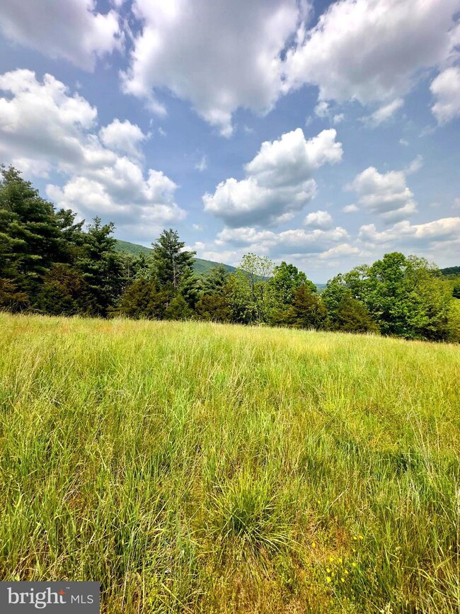 15 ac Honeycomb Ln, Sugar Grove, WV 26815 - photo 7