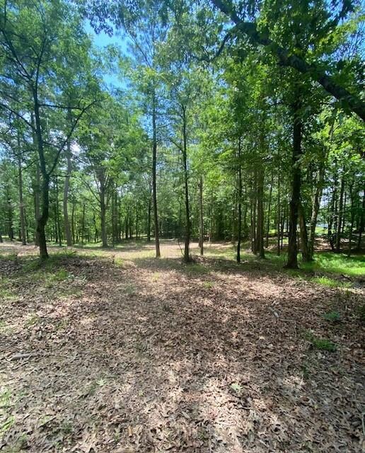 View of undeveloped land