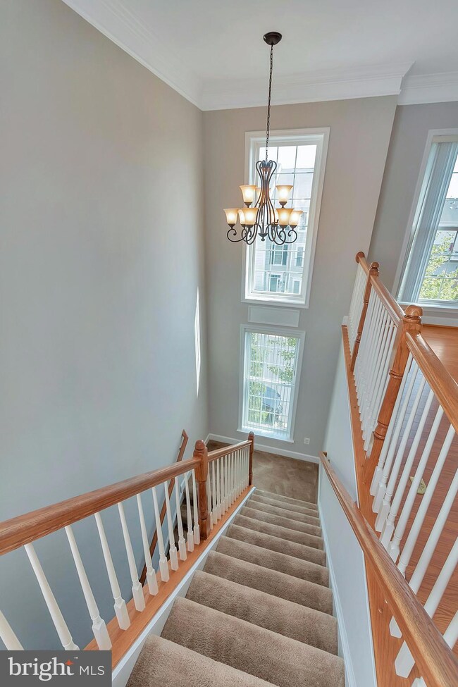 14738 Potomac Branch Dr, Woodbridge, VA 22191 - photo 6