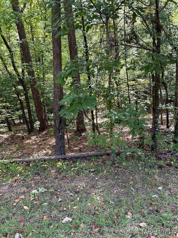 Lot 102 Beach Island Trace, Dadeville, AL 36853 - photo 2