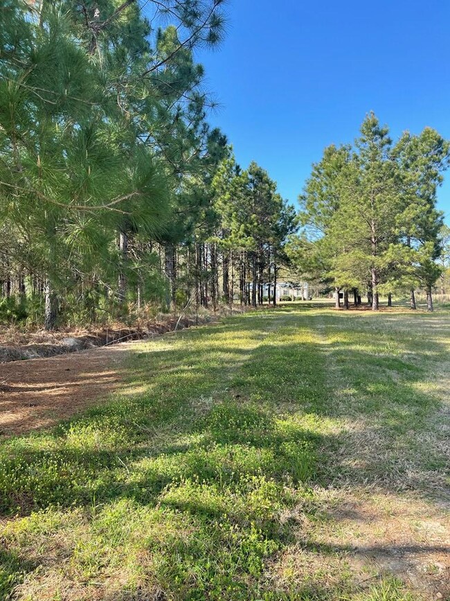 240 Georgia 32, Warwick, GA 31796 - photo 2
