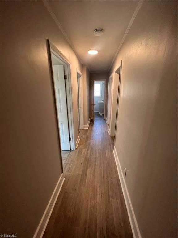 323 Coltrane Ave, High Point, NC 27260 - photo 4