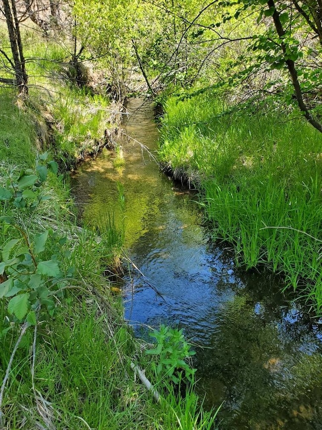 0 Wiley Creek Rd unit 2406 220202660, Mount Vernon, OR 97865 - photo 2