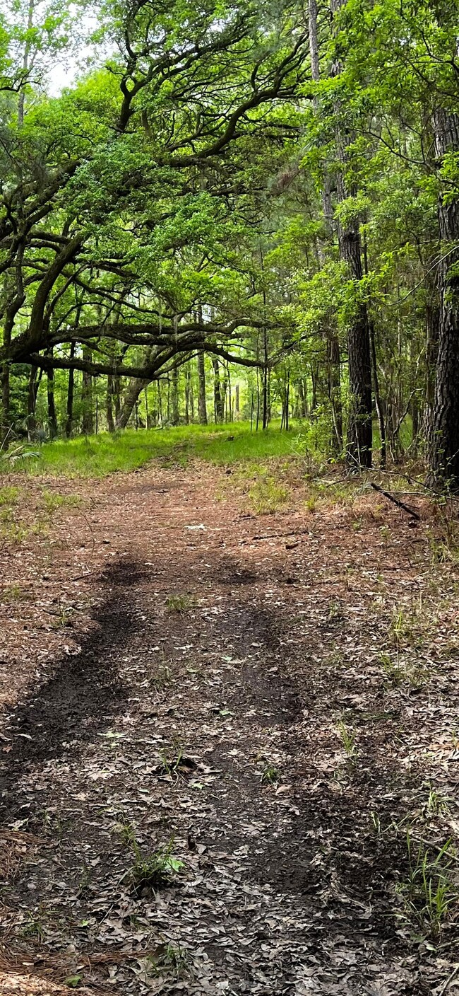 0 Dressen Rd unit 22893184, Hardeeville, SC 29927 - photo 7