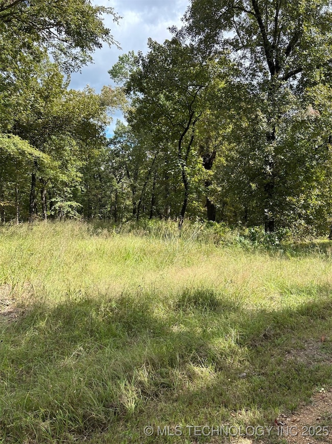 1431 Easy St, Tishomingo, OK 73460 - photo 2