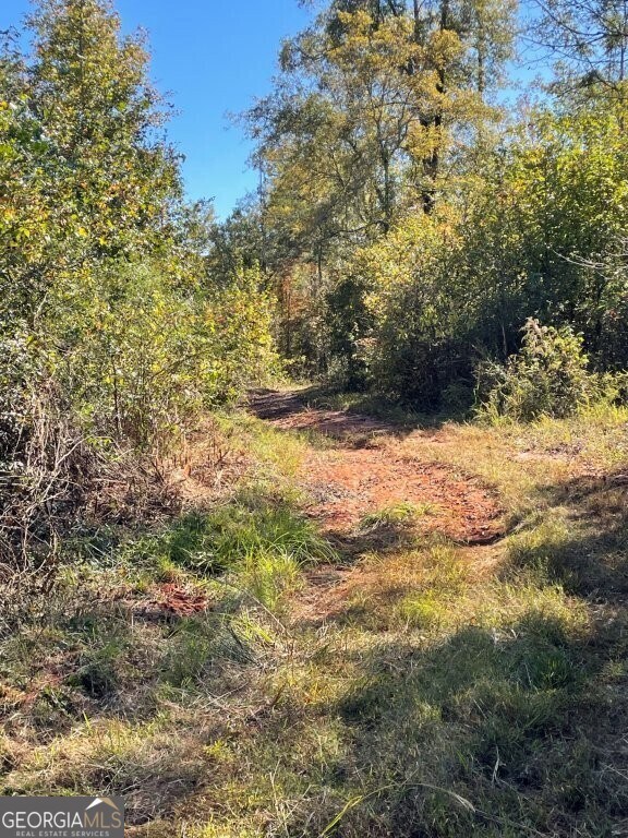 0 E Highway 36 unit 10652570, Jackson, GA 30233 - photo 7