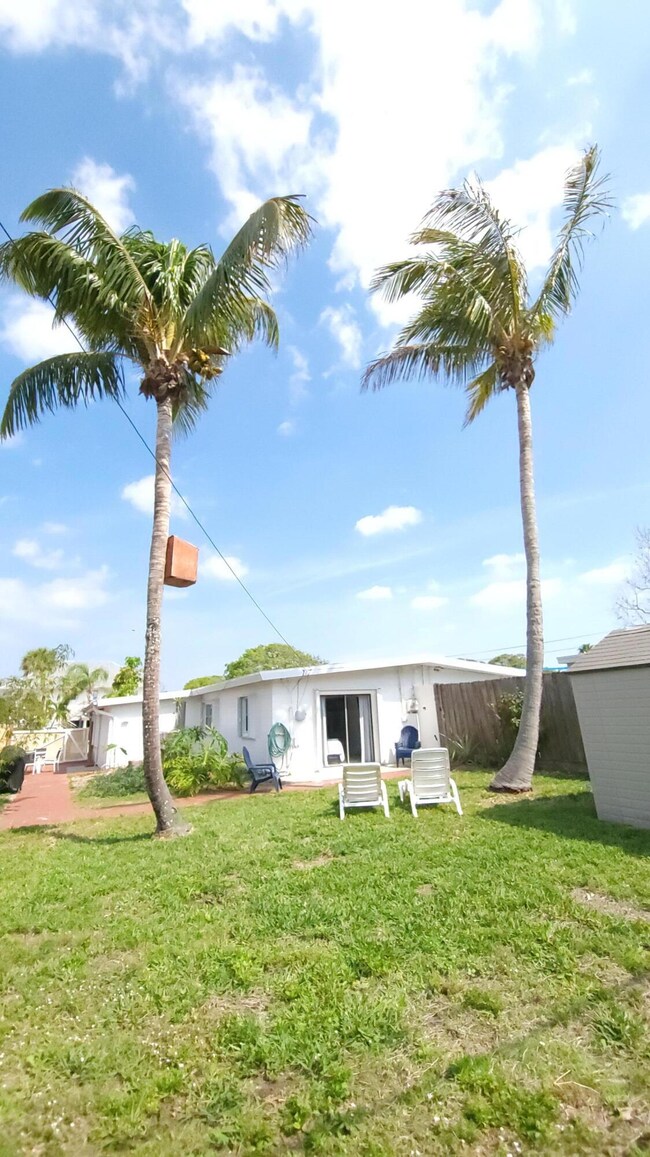 coconut trees