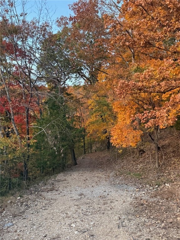 0 Loop, Garfield, AR 72732 - photo 6