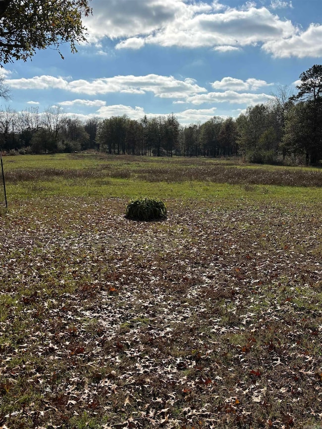 1617 Highway 26 E, Delight, AR 71940 - photo 4