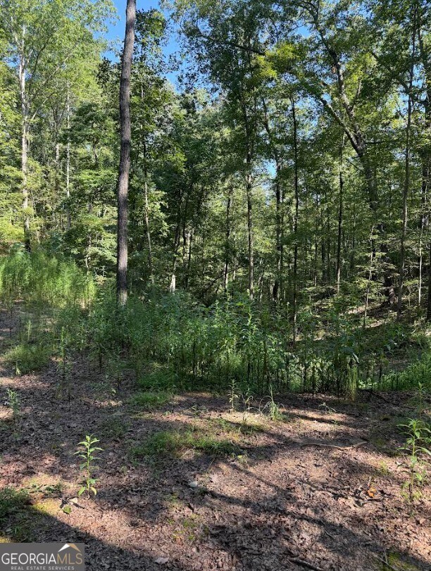 0 Turkey Ct unit LOT 42 & 46, Waco, GA 30182 - photo 4