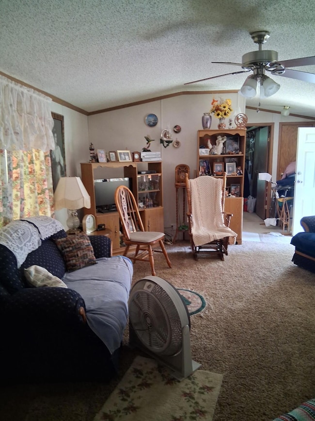 675 N Dade 181, Greenfield, MO 65661 - photo 2