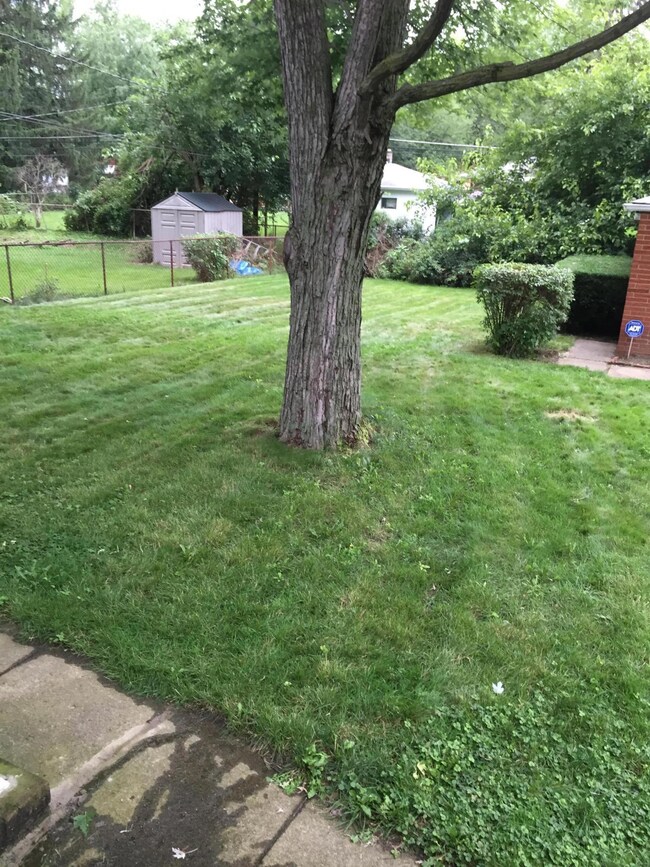 BackYard With Fence