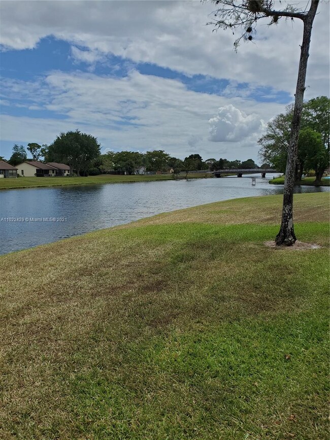 View from backyard