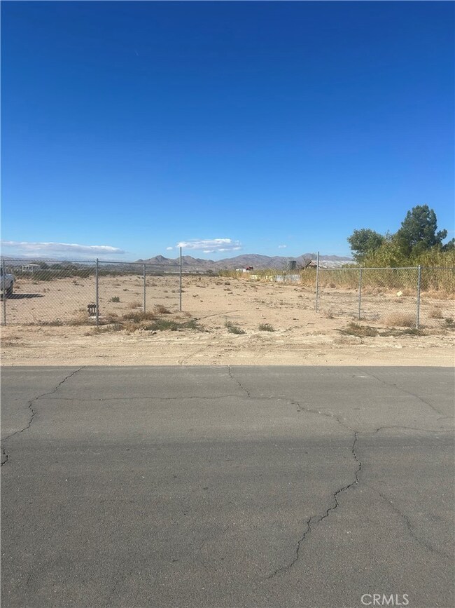 11482 Locust Rd, Lucerne Valley, CA 92356 - photo 5