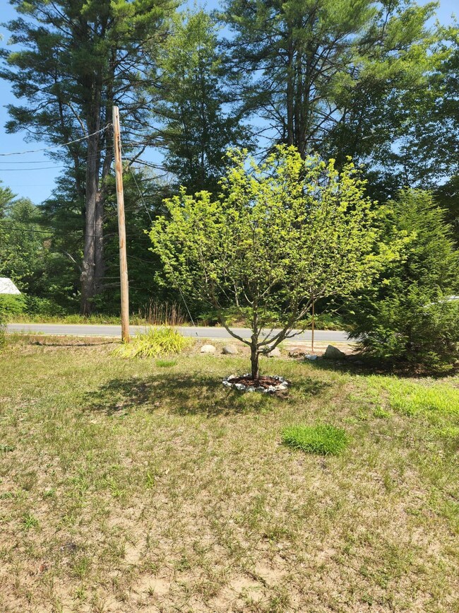 318 N Fryeburg Rd, Fryeburg, ME 04037 - photo 7