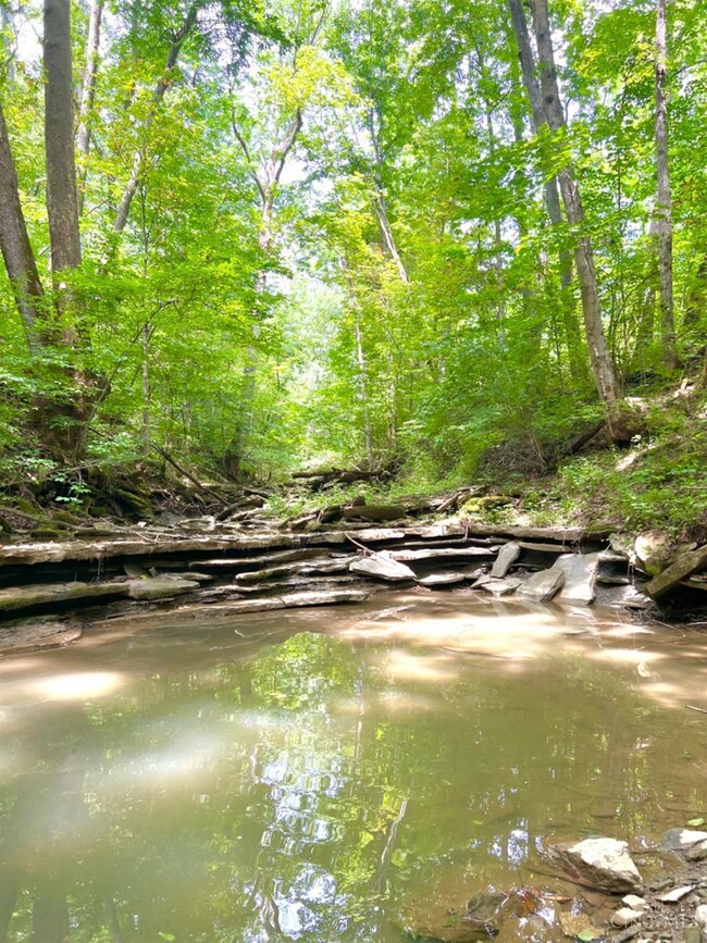 6035 State Route 505, Georgetown, OH 45121 - photo 3