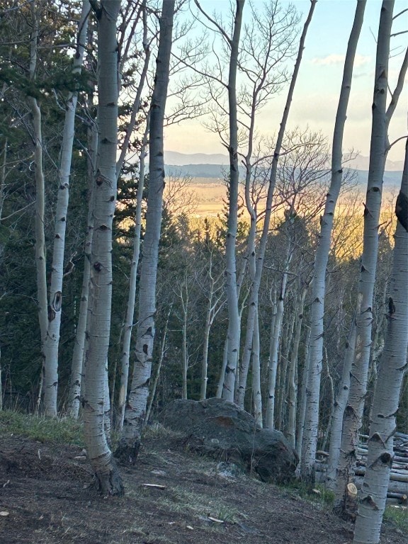 View of undeveloped land
