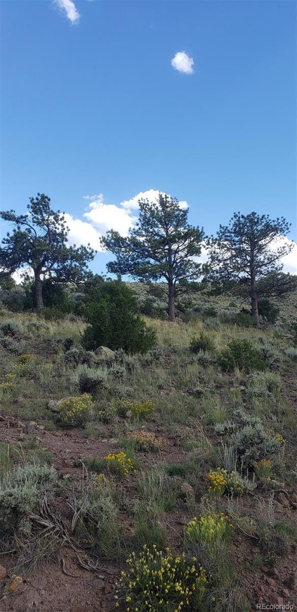 4738 Trudell Rd, Fort Garland, CO 81133 - photo 5